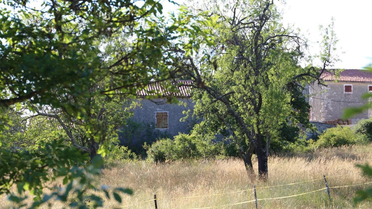 カンファナル Casa Conte Istriaヴィラ エクステリア 写真